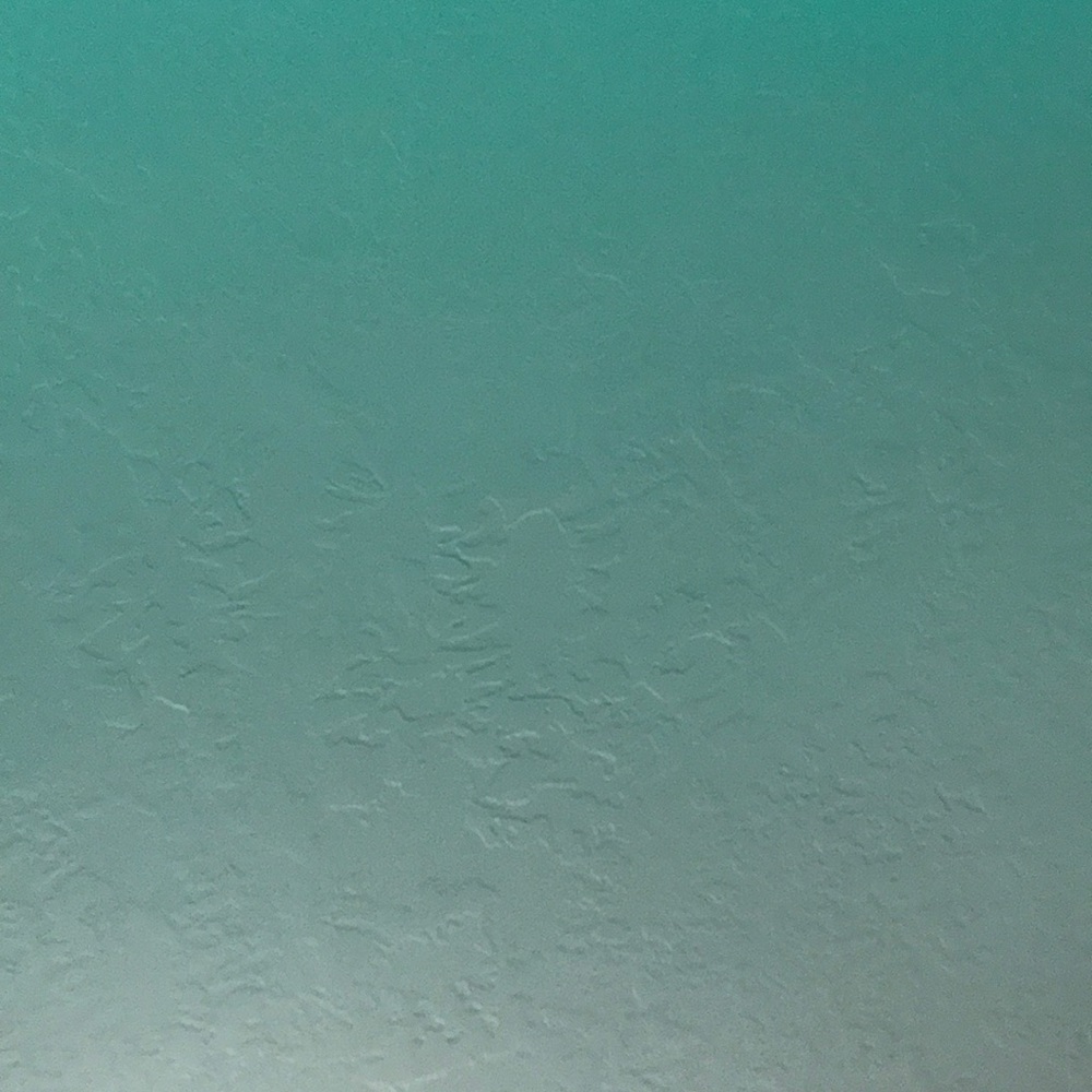 Meet your Posher, Liv